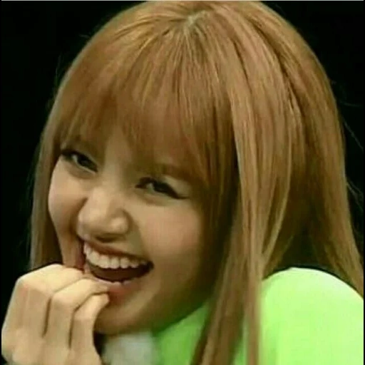 black pink, blackpink fox, lisa blackpink, blackpink memes, black pink fox stubborn