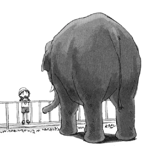 gajah, gajah gajah, tentang gajah, gajah besar, bayi gajah