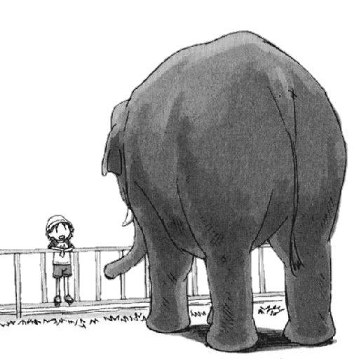 elefante, elefante elefante, sugli elefanti, l'elefante è grande, piccolo elefante