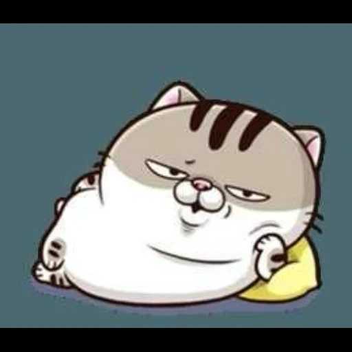кот, толстый кот, ami fat cat, животные милые, кот ами толстый