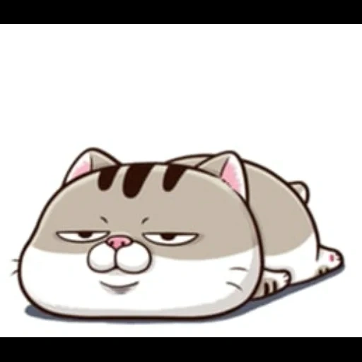 толстый кот, ami fat cat, милые котики, животные милые, downold ami fat cat 98 х95