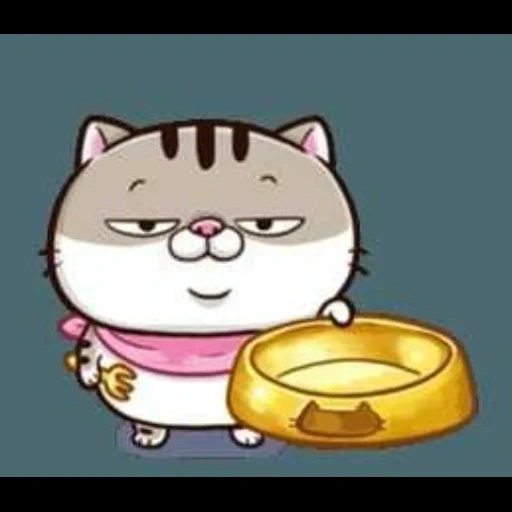 shi š man, fat cat, kitten, fat cat, ami fat cat