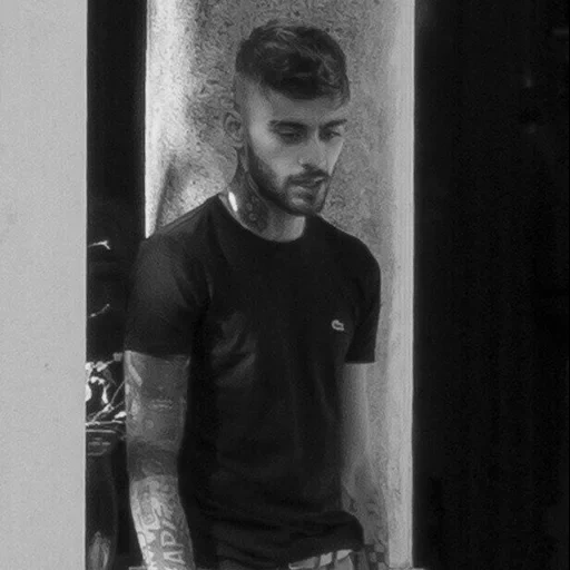 zayn, tipo, el hombre, humano, zane malik