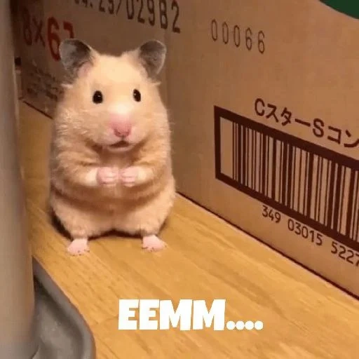 hamster, hamster hamster, der hamster ist lustig, hamster syrer, verängstigter hamster