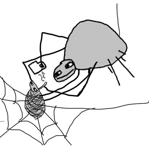 meme di pappe, pappe ragno, spider bobe, pappe spider meme