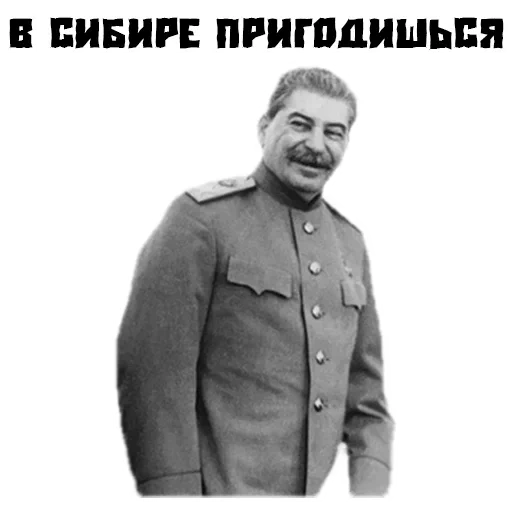 stalin, stalin 34, meme di stalin, stalin spara, joseph visarionovich stalin