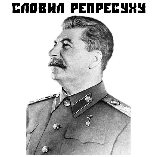 staline, pour staline, joseph staline, camarade staline, joseph visarionovich staline