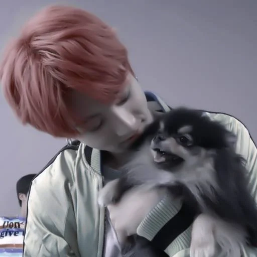 zheng zhongguo, bts jungkook, bangtan boys, hal yang paling lucu, anjing yongtan pomeranian