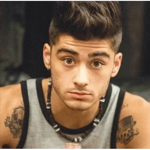 zayn, toto, anak muda, zane smith, zanin malik