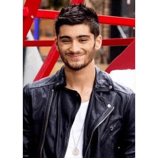 zayn, zane, o masculino, zane malik, homem bonito