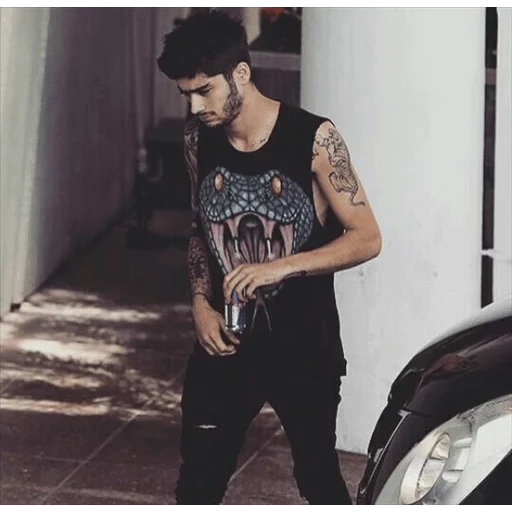 zayn, chanteurs, le mâle, zane malik, la mode masculine