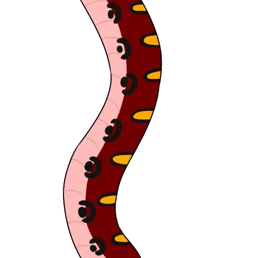 serpent, illustration, serpent à fond blanc, vecteur de serpent drôle, enfants couleur serpent