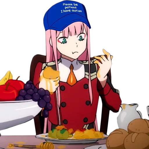 franxx zero two, darling in the franxx, carino in franchi 02 frame, personaggi di franks pirni piloti, caro nel due zero di franxx