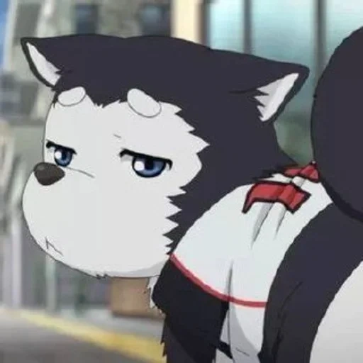 anime de chien, personnages d'anime, tetsuya sunako basketball, tetsuya sunako basketball 2, anime basketball sunbek dog