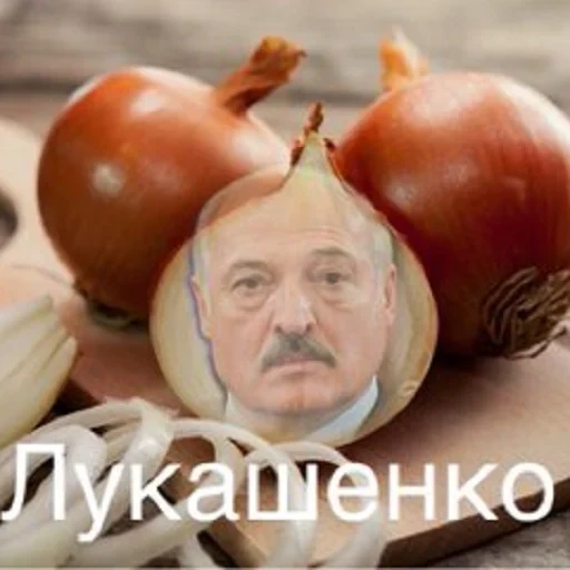 cipolla, samma di cipolle, cipolla, patata lukashenko, alexander grigoryevich lukashenko