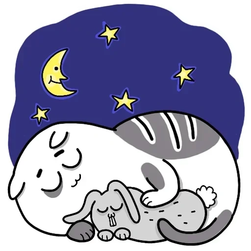 cat, night, sleeping moon
