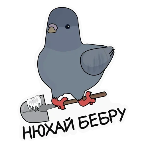 mème, pigeon, pigeon de dessin animé, le dessin animé du pigeon est drôle