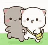 gatos kawaii, gatos kawaii, mochi mochi durazno gato, kawaii cats love
