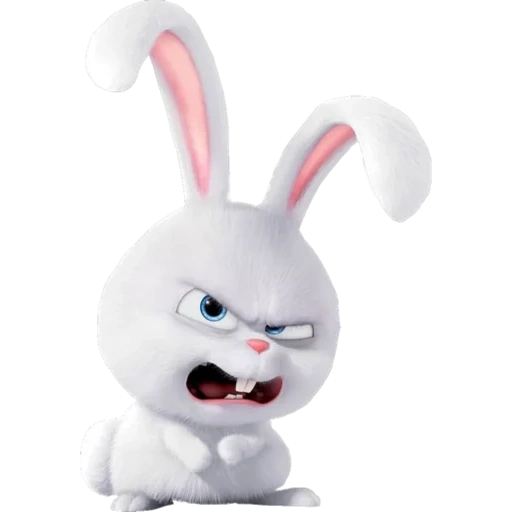 hare malvagia, bunny malvagio, rabbit arrabbiato, la lepre della vita segreta, lepre cattive con le carote