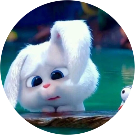 rabbit snowball, sad rabbit, little rabbit cartoon, rabbit cartoon pet, the secret life of pets snowball