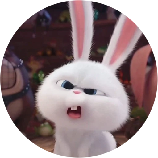 bad rabbit, rabbit snowball, the secret life of pet rabbit, the secret life of pet rabbit, rabbit snowball secret life pet 1