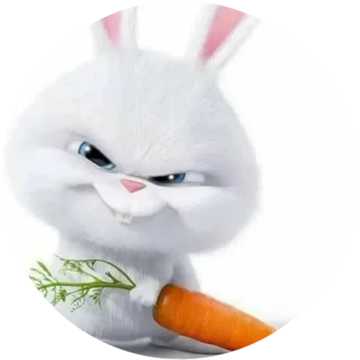 liebre malvada, conejo mi, bolsas de conejo, vida secreta de las mascotas, pequeña vida de mascotas zanahorias de conejo