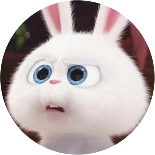 bunny, coniglio, rabbit arrabbiato, snowball di coniglio, il malvagio coniglio carino del cartone animato