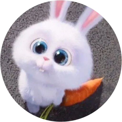 bunnies, bunny fluff, bunny chiede, foto del coniglietto, little life of pets rabbit
