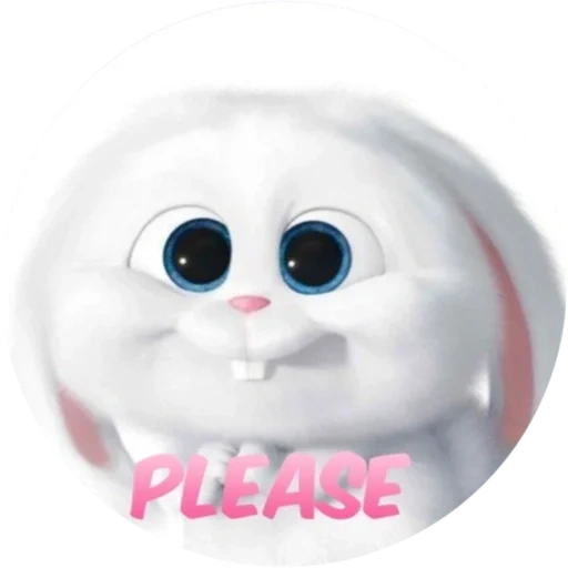 animals are cute, don't say the channel of, the secret life of pet rabbit, the secret life of pet rabbit snowball
