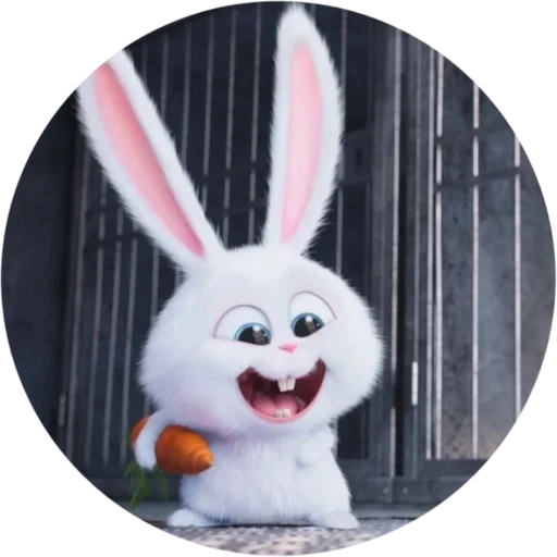 conejo enojado, conejo de bola de nieve, secret life home rabbit snowball, pequeña vida de mascotas conejo, vida secreta de mascotas liebre bola de nieve