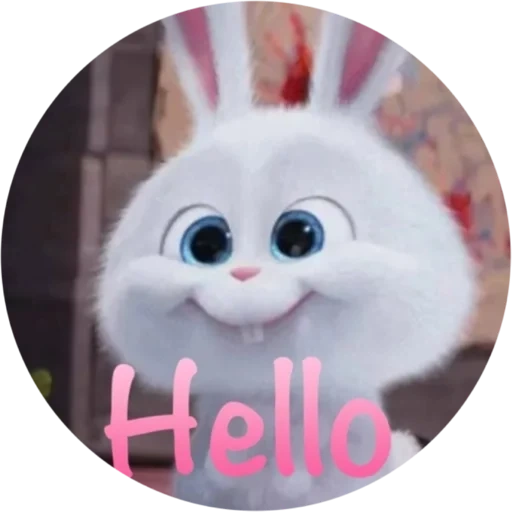 bad rabbit, rabbit snowball, cute little rabbit teeth, pet life rabbit, the secret life of pet rabbit