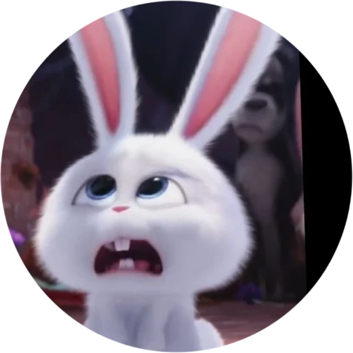 rabbit arrabbiato, snowball di coniglio, zlaya_zaya_1984 sveta, la vita segreta degli animali domestici hare
