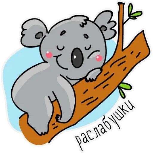 pola koala, koala tidur di pohon, koala primitif, pola cabang gantung koala, ilustrasi kartun koala