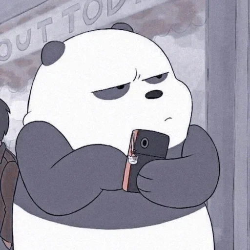 bare bears, three bears, semua kebenaran tentang beruang, seluruh kebenaran tentang beruang panda, estetika panda quanzhen bear