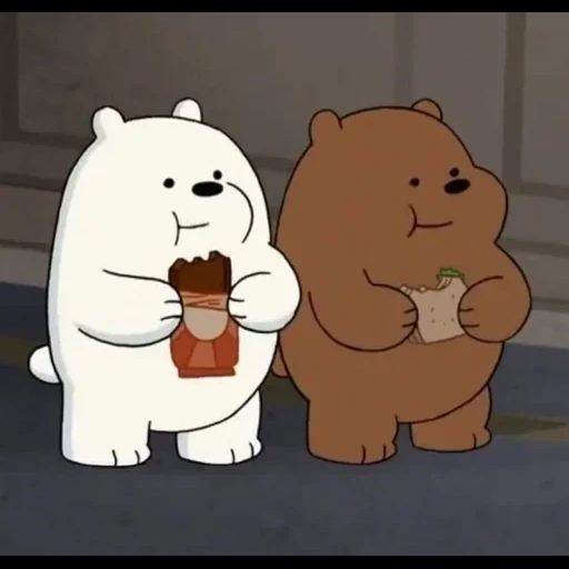 bare bears, oso lindo, toda la verdad sobre el oso, ice bear we bare bears, blanco sobre la verdad completa del oso
