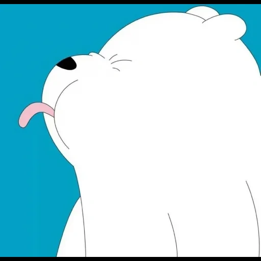 bear, boy, polar bear, the bear is cute, icebear bear