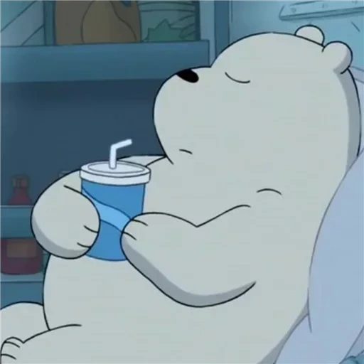 urso polar, urso nu we branco, toda a verdade sobre o urso, nós temos um urso branco normal, toda a verdade sobre o urso branco