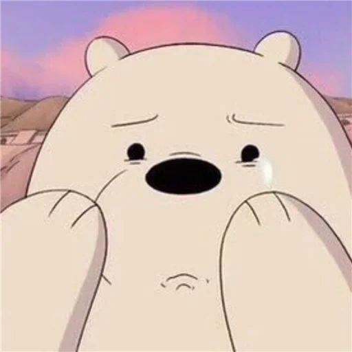 urso fofo, urso triste, toda a verdade sobre o urso, toda a verdade do urso é branca, cartoon urso polar triste