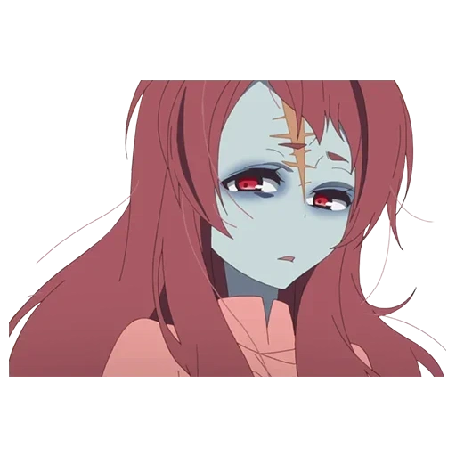 lenda dos zumbis, zombieland saga, animação lendária da terra dos zumbis, vingança lendária da terra dos zumbis, a morte da lendária flor de cerejeira na terra dos zumbis