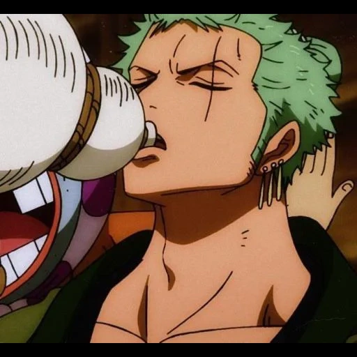 zoro, roronoa zoro, ein stück zoro, fouton gokuhou, roronoa zoro anime