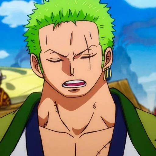 zoro, roronoa zorro, one piece zoro, roronoa zorro amf, animação de roronoa zorro