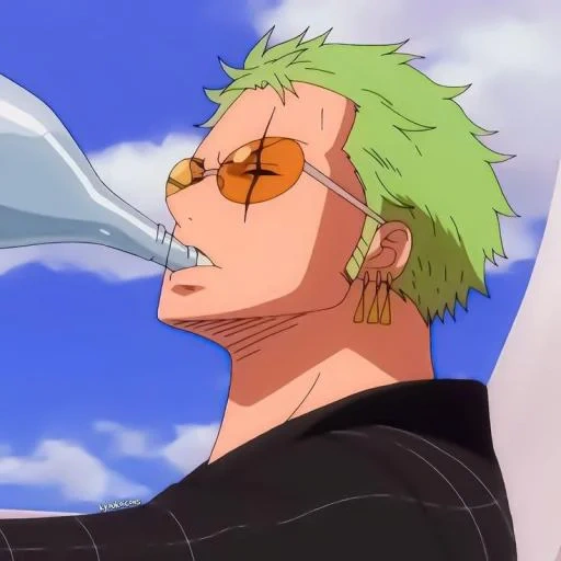 zoro, zoro, une pièce, roronoa zoro, hunter x hunter 3