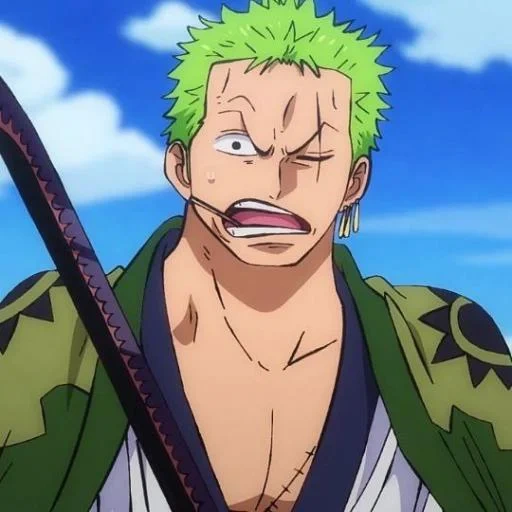 zoro, une pièce, roronoa zoro, perles de dragon, van pis roronoa zoro