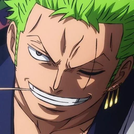 zoro, ein stück, zoro wano, roronoa zoro, ein stück zoro