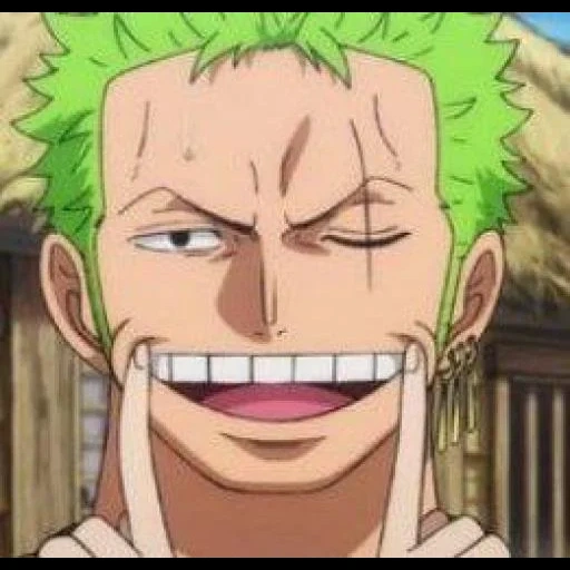 zoro, zoro wano, lorono zorro, one piece zoro, rey ladrón de animación