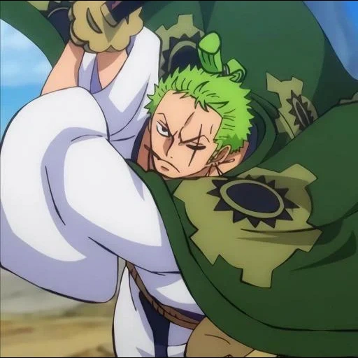 zoro, zoro vano, roronoa zoro, zoro tenryubito, zoro contro orochi