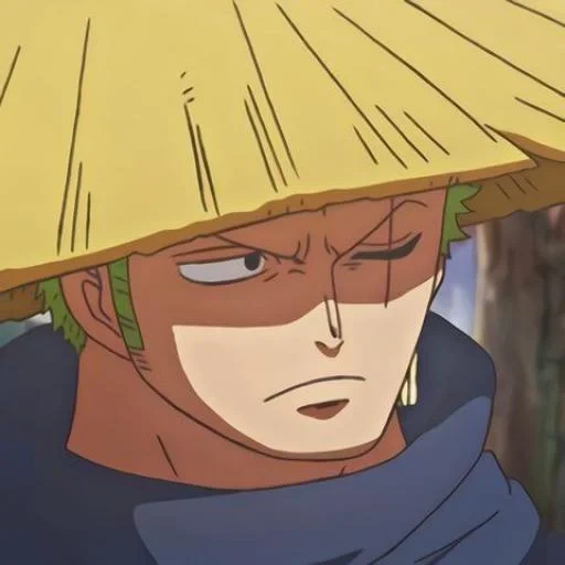 zoro, capitolo, un pezzo, roronoa zoro, roronoa zoro anime