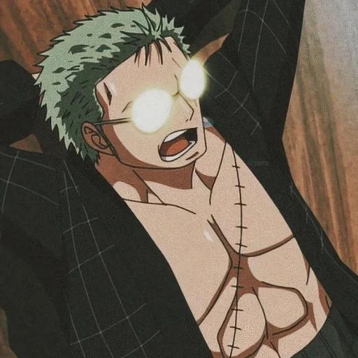 zoro, une pièce, roronoa zoro, zoro van pi, van pis zoro