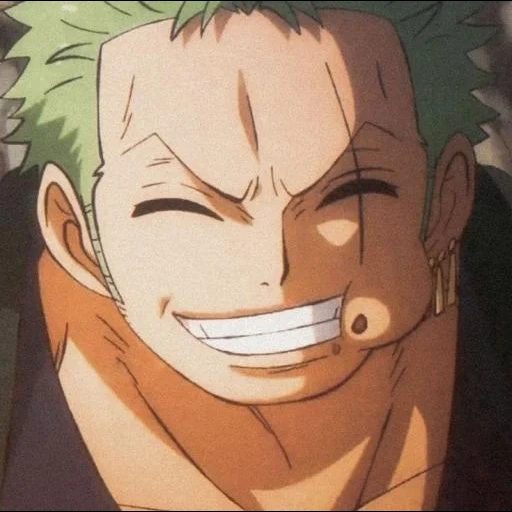 zoro, zoro wano, roronoa zoro, une pièce zoro, roronoa zoro vano