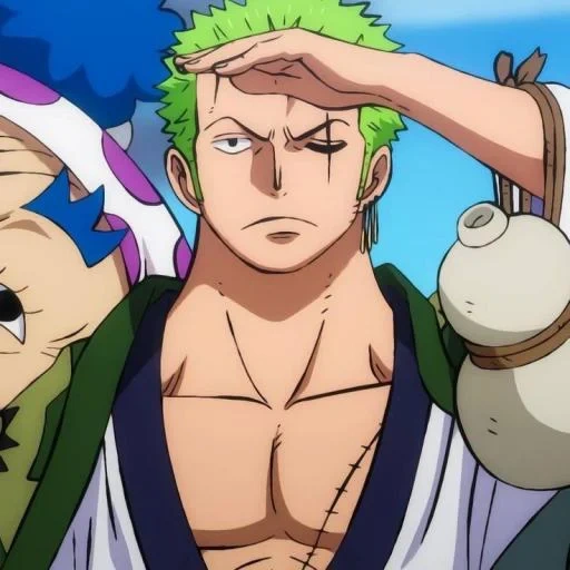 zoro, ван-пис, ророноа зоро, one piece zoro, в one piece зоро арка вано